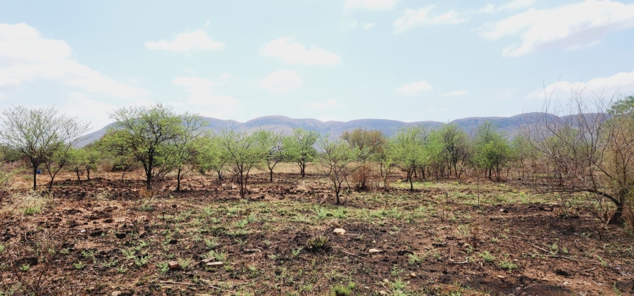  Bedroom Property for Sale in Rietfontein A H North West